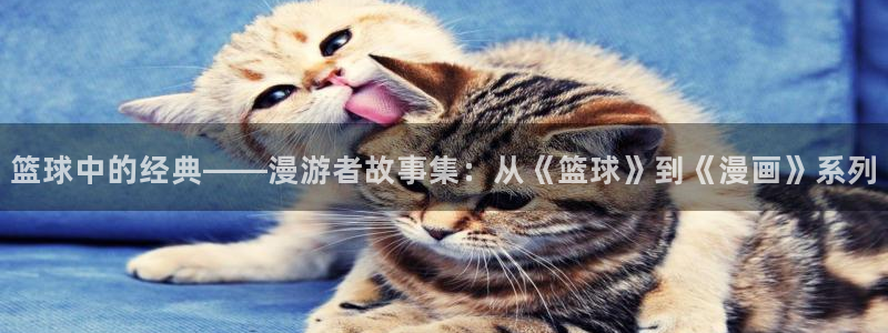 喵趣为什么打不开：篮球中的经典——漫游者故事集：从《篮球》到《漫画》系列