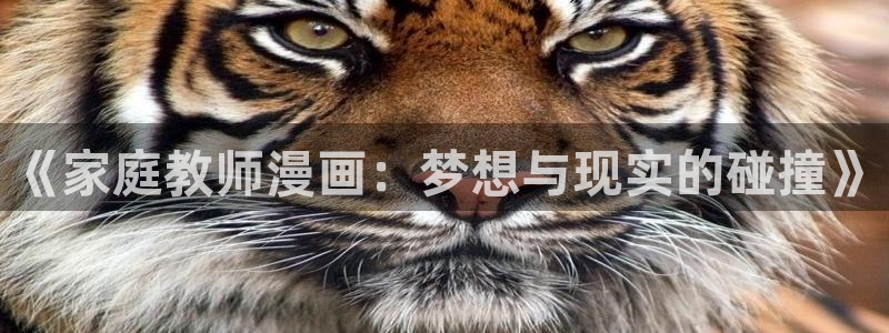 喵趣漫画无删减：《家庭教师漫画：梦想与现实的碰撞》