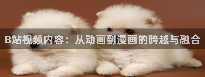 喵趣ios：B站视频内容：从动画到漫画的跨越与融合
