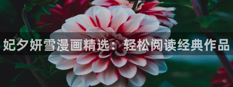 喵趣漫画怎么搜索漫画：妃夕妍雪漫画精选：轻松阅读经典作品