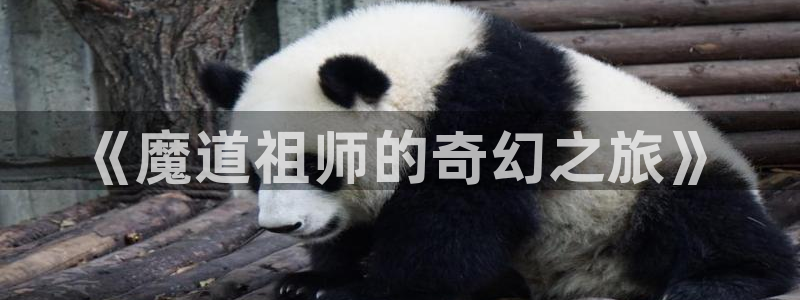 喵趣漫画最新版官网：《魔道祖师的奇幻之旅》