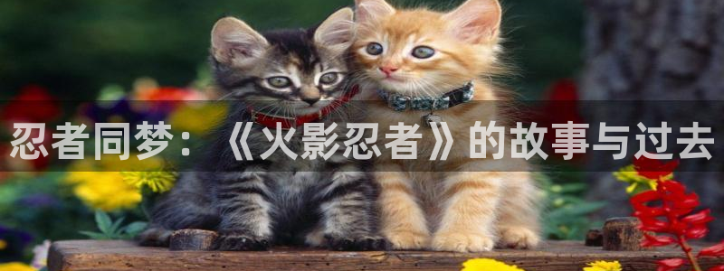 喵趣取漫画下载app：忍者同梦：《火影忍者》的故事与过去