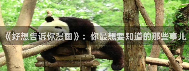 喵趣漫画ios下载入口：《好想告诉你漫画》：你最想要知道的那些事儿