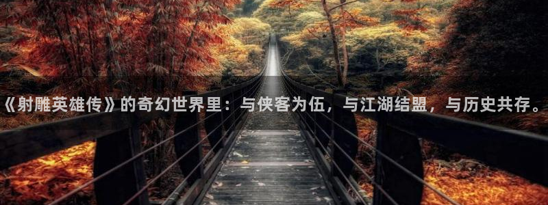 喵趣网站：《射雕英雄传》的奇幻世界里：与侠客为伍，与江湖结盟，与历史共存。
