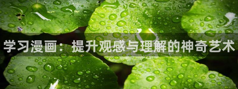www.喵趣com：学习漫画：提升观感与理解的神奇艺术