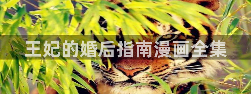 喵趣漫画网页官方：王妃的婚后指南漫画全集
