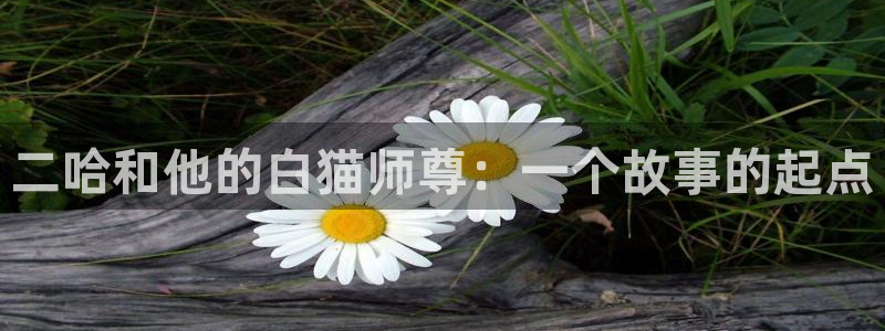 喵趣漫画最新版2026：二哈和他的白猫师尊：一个故事的起点
