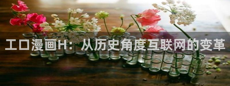 喵趣动漫安装：工口漫画H：从历史角度互联网的变革